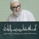 خرید کتاب آیت الله منتظری و نهج البلاغه جلد دوم اثر سید محمدعلی ایازی