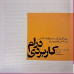 خرید کتاب درام کاربردی (راهنمای تسهیلگران برای کار در اجتماعات)