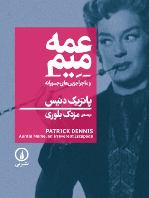 خرید کتاب عمه میم و ماجراجویی های جسورانه اثر پاتریک دنیس نشر نی
