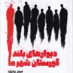 خرید کتاب دیوارهای بلند گورستان شهر ما اثر جواد عاطفه نشر آیاس