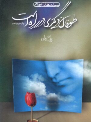 خرید کتاب طوفان دیگری در راه است اثر سید مهدی شجاعی نشر نیستان