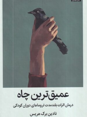 خرید کتاب عمیق ترین چاه اثر نادین برک هریس نشر میلکان