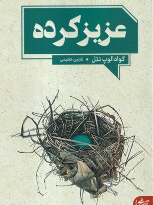 خرید کتاب عزیزکرده اثر گوادالوپ نتل ترجمه نازنین عظیمی نشر آنجا