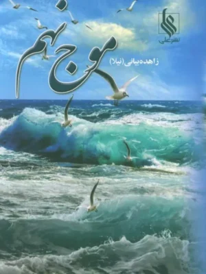 خرید کتاب موج نهم اثر زاهده بیانی (2 جلدی) نشر علی