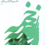 خرید کتاب زخمه ای بر ساز راز اثر میر جلال الدین کزازی نشر گویا