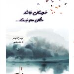 خرید کتاب خویشتنی نباشد مشکلی هم نیست اثر کریس نیبائر نشر همزار