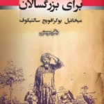 خرید کتاب قصه برای بزرگسالان اثر میخائیل یوگرافویج سالتیکوف نشر جامی