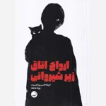 خرید کتاب ارواح اتاق زیر شیروانی اثر اندریکه اندرسون ایمبرت نشر آیاس