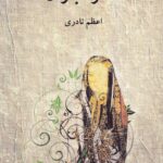 خرید کتاب ستاره باران اثر اعظم نادری نشر دوستان