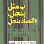 خرید کتاب ب مثل بنجل اقتاد بنجل اثر مایکل هادسن نشر کلاغ