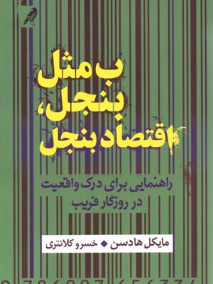 خرید کتاب ب مثل بنجل اقتاد بنجل اثر مایکل هادسن نشر کلاغ