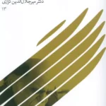 خرید کتاب دمی در گنجینه های راز اثر دکتر میر جلال الدین کزازی نشر گویا