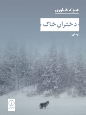 خرید کتاب دختران خاک اثر جواد خاوری نشر نی