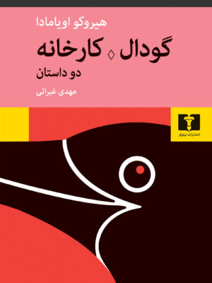 خرید کتاب دو داستان گودال کارخانه اثر هیروکو اویامادا نشر نیلوفر