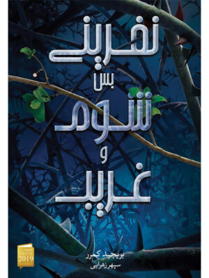 خرید کتاب نفرینی بس شوم و غریب کتاب اول از مجموعه نفرین نشر آذرباد