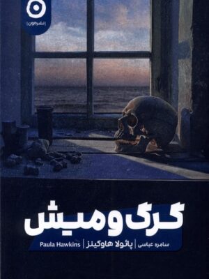 خرید کتاب گرگ و میش اثر پائولا هاوکینز نشر مون