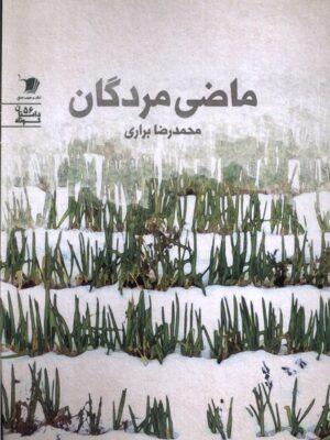 خرید کتاب ماضی مردگان اثر محمدرضا براری نشر سیب سرخ