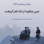 خرید کتاب چین چگونه از تله فقر گریخت اثر یوئن یوئن انگ نشر نی