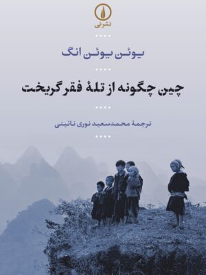 خرید کتاب چین چگونه از تله فقر گریخت اثر یوئن یوئن انگ نشر نی