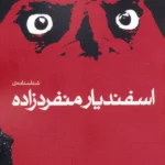 خرید کتاب شناسنامه ی اسفندیار منفردزاده دفتر دوم نشر نگاه