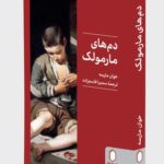 خرید کتاب دم های مارمولک اثر خوان مارسه نشر میردشتی