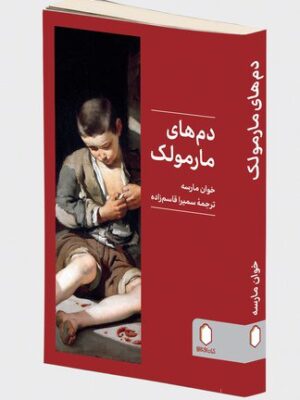 خرید کتاب دم های مارمولک اثر خوان مارسه نشر میردشتی