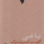 خرید کتاب یاغی اثر اگوست استریندبرگ نشر مهرگان خرد