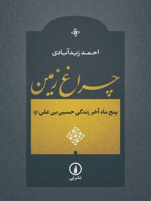 خرید کتاب چراغ زمین اثر احمد زیدآبادی نشر نی