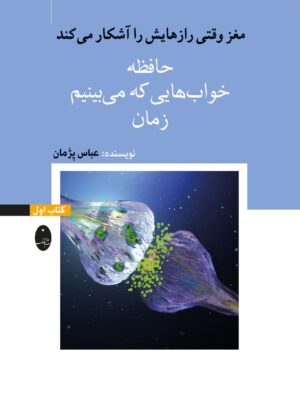 خرید کتاب مغز وقتی رازهایش را آشکار می کند جلد اول نشر شباهنگ