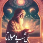خرید کتاب سی شب با مولانا اثر فرزانه گل پرور نشر آئی سا