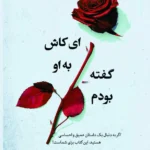 خرید کتاب ای کاش به او گفته بودم اثر لورا نولین نشر نارنگی
