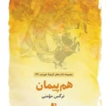 خرید کتاب هم پیمان اثر نرگس مومنی نشر ذهن آویز