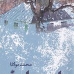 خرید کتاب پاسبان اثر محمد مولانا نشر پایا