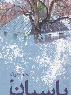 خرید کتاب پاسبان اثر محمد مولانا نشر پایا