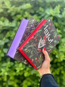 کتاب بی پروا جلد دوم ناتوان اثر لورن رابرتس نشر داهی - تصویر 5