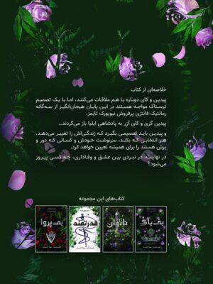 کتاب بی باک جلد سوم مجموعه ناتوان بی پروا اثر لورن رابرتس