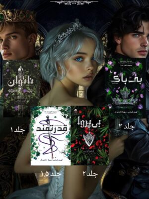 کتاب مجموعه 4 جلدی ناتوان قدرتمند بی پروا بی باک اثر لورن رابرتس (متن کامل)