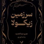 خرید کتاب سرزمین زیکولا اثر عمرو عبدالحمید نشر تندیس