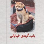 خرید کتاب باب گربه ی خیابانی اثر جیمز بوون نشر دیدآور