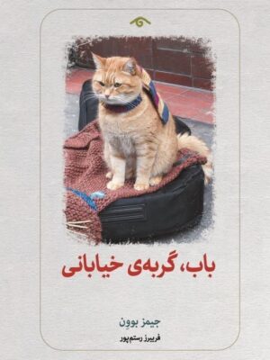 خرید کتاب باب گربه ی خیابانی اثر جیمز بوون نشر دیدآور