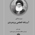 خرید کتاب شرح زندگانی آیت الله بروجردی اثر علی دوانی نشر تاریخ معاصر ایران