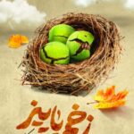 خرید کتاب زخم پاییز اثر سلمان کریمی نشر سوره مهر