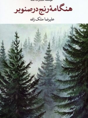 خرید کتاب هنگامه رنج در صنوبر اثر علیرضا ملک زاده نشر نگاه