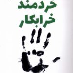 کتاب خردمند خرابکار اثر تام فیلیپس نشر کوله پشتی