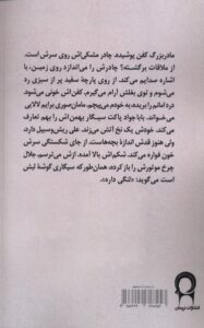 کتاب دیوار ابدی برلین اثر دانیال رجبی نشر نریمان - تصویر 2
