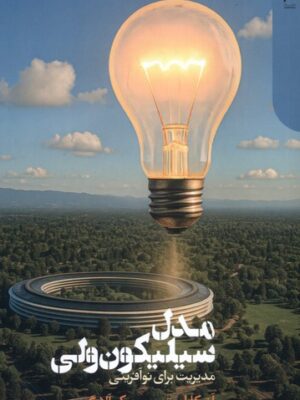 کتاب مدل سیلیکون ولی مدیریت برای نوآفرینی نشر دنیای اقتصاد