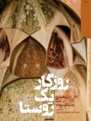 خرید کتاب روزگار یک روستا اثر محمد طبیبیان نشر دنیای اقتصاد
