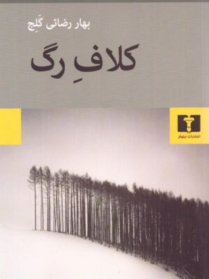 خرید کتاب کلاف رگ اثر بهار رضائی گلج نشر نیلوفر