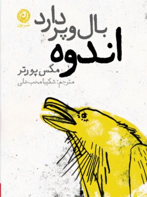خرید کتاب اندوه بال و پر دارد اثر مکس پورتر نشر نون