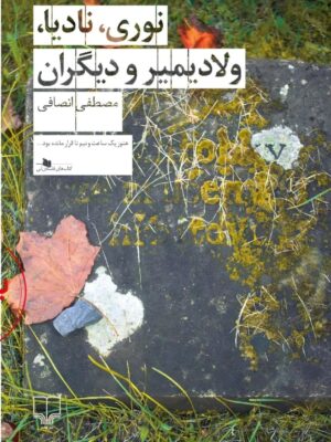 خرید کتاب نوری نادیا ولادیمیر و دیگران اثر مصطفی انصافی نشر چشمه